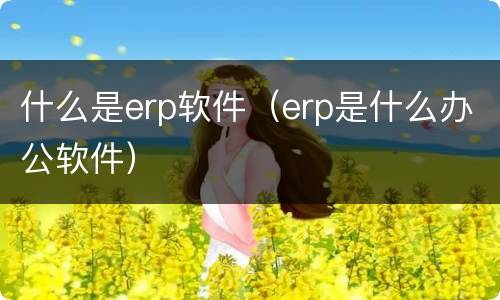 什么是erp软件（erp是什么办公软件）