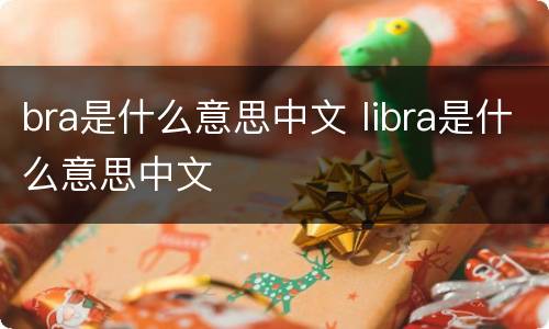 bra是什么意思中文 libra是什么意思中文