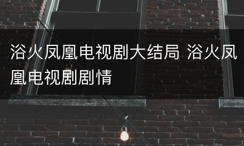 浴火凤凰电视剧大结局 浴火凤凰电视剧剧情