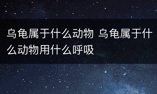 乌龟属于什么动物 乌龟属于什么动物用什么呼吸