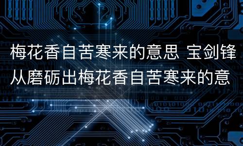 梅花香自苦寒来的意思 宝剑锋从磨砺出梅花香自苦寒来的意思