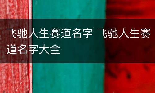 飞驰人生赛道名字 飞驰人生赛道名字大全