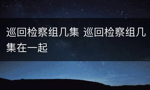 巡回检察组几集 巡回检察组几集在一起