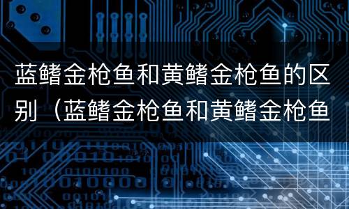 蓝鳍金枪鱼和黄鳍金枪鱼的区别（蓝鳍金枪鱼和黄鳍金枪鱼的区别是什么）