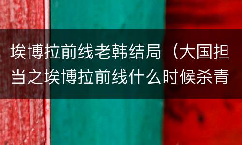 埃博拉前线老韩结局（大国担当之埃博拉前线什么时候杀青）