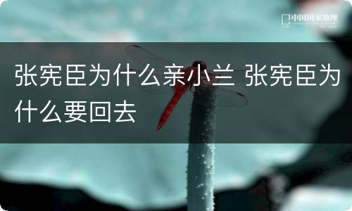 张宪臣为什么亲小兰 张宪臣为什么要回去