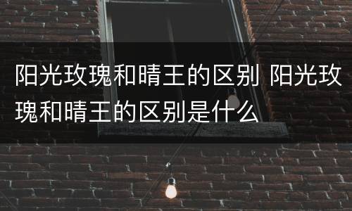 阳光玫瑰和晴王的区别 阳光玫瑰和晴王的区别是什么