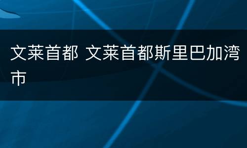 文莱首都 文莱首都斯里巴加湾市