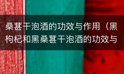 桑葚干泡酒的功效与作用（黑枸杞和黑桑葚干泡酒的功效与作用）