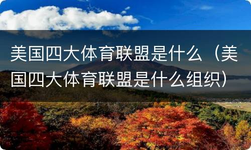 美国四大体育联盟是什么（美国四大体育联盟是什么组织）