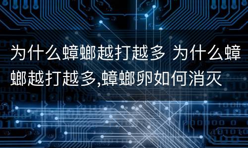 为什么蟑螂越打越多 为什么蟑螂越打越多,蟑螂卵如何消灭