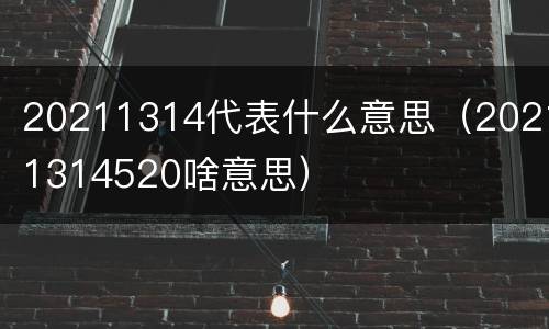 20211314代表什么意思（20211314520啥意思）