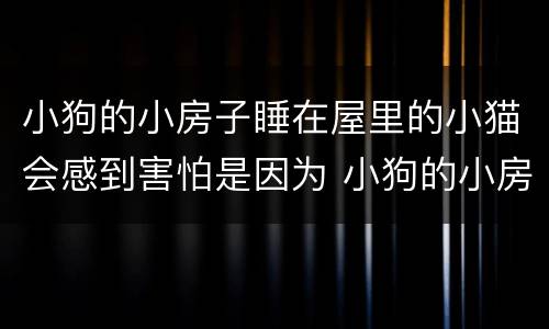 小狗的小房子睡在屋里的小猫会感到害怕是因为 小狗的小房子睡在屋里的小猫会感到害怕为什么