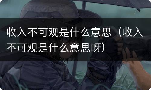 收入不可观是什么意思（收入不可观是什么意思呀）