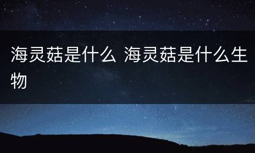 海灵菇是什么 海灵菇是什么生物