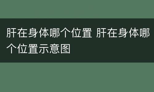 肝在身体哪个位置 肝在身体哪个位置示意图