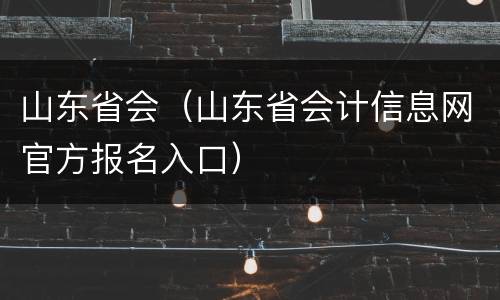 山东省会（山东省会计信息网官方报名入口）