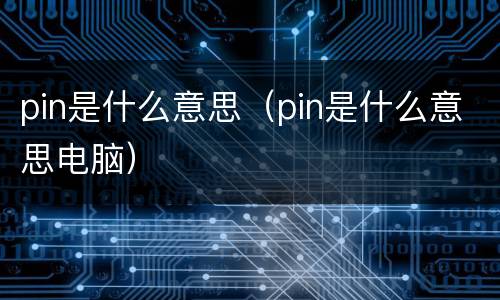 pin是什么意思（pin是什么意思电脑）