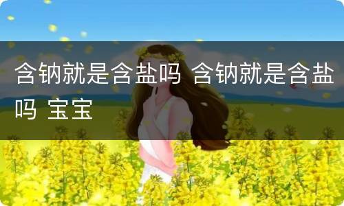 含钠就是含盐吗 含钠就是含盐吗 宝宝