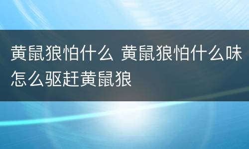 黄鼠狼怕什么 黄鼠狼怕什么味怎么驱赶黄鼠狼