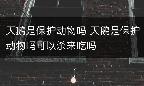 天鹅是保护动物吗 天鹅是保护动物吗可以杀来吃吗