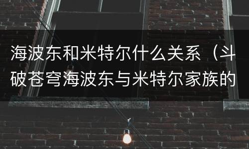 海波东和米特尔什么关系（斗破苍穹海波东与米特尔家族的关系）