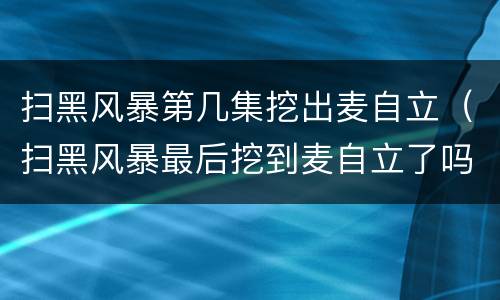 扫黑风暴第几集挖出麦自立（扫黑风暴最后挖到麦自立了吗）