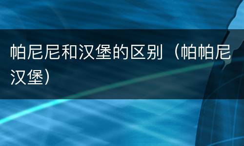 帕尼尼和汉堡的区别（帕帕尼汉堡）