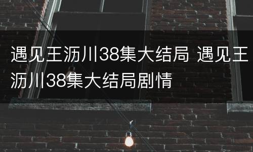 遇见王沥川38集大结局 遇见王沥川38集大结局剧情