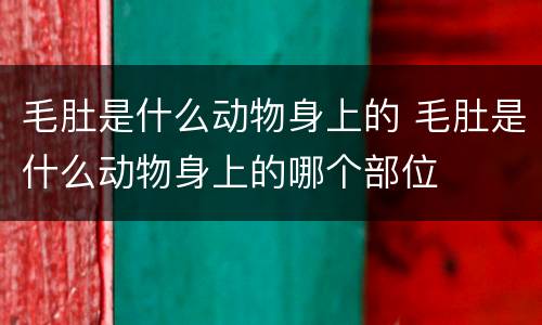 毛肚是什么动物身上的 毛肚是什么动物身上的哪个部位