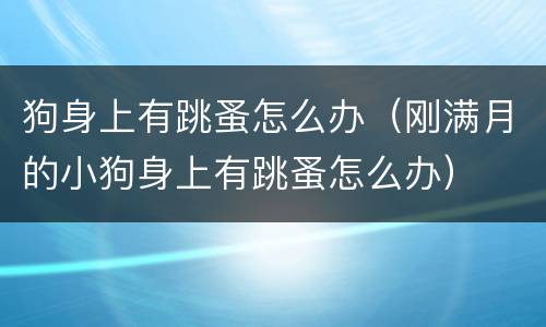 狗身上有跳蚤怎么办（刚满月的小狗身上有跳蚤怎么办）