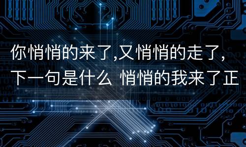 你悄悄的来了,又悄悄的走了,下一句是什么 悄悄的我来了正如我悄悄的走下一句