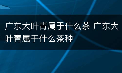 广东大叶青属于什么茶 广东大叶青属于什么茶种