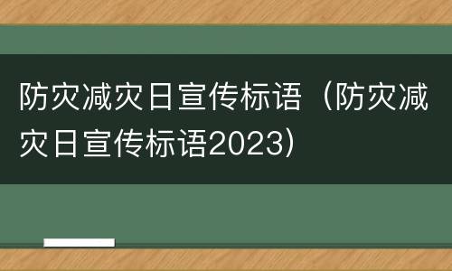 防灾减灾日宣传标语（防灾减灾日宣传标语2023）