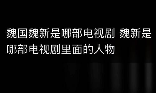 魏国魏新是哪部电视剧 魏新是哪部电视剧里面的人物