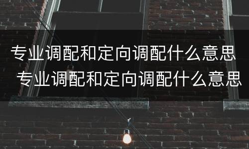 专业调配和定向调配什么意思 专业调配和定向调配什么意思 二者的区别