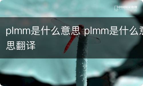 plmm是什么意思 plmm是什么意思翻译