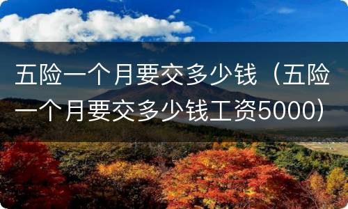 五险一个月要交多少钱（五险一个月要交多少钱工资5000）