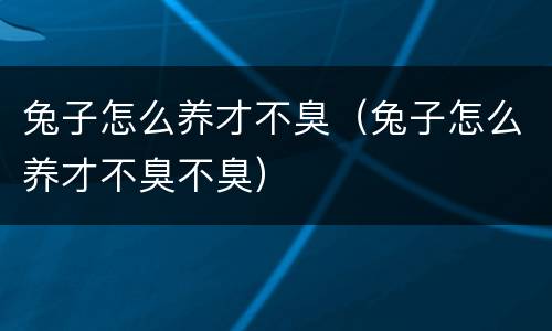 兔子怎么养才不臭（兔子怎么养才不臭不臭）