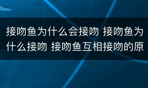 接吻鱼为什么会接吻 接吻鱼为什么接吻 接吻鱼互相接吻的原因