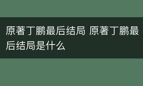 原著丁鹏最后结局 原著丁鹏最后结局是什么