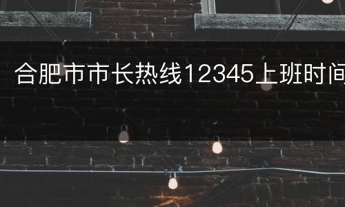 合肥市市长热线12345上班时间