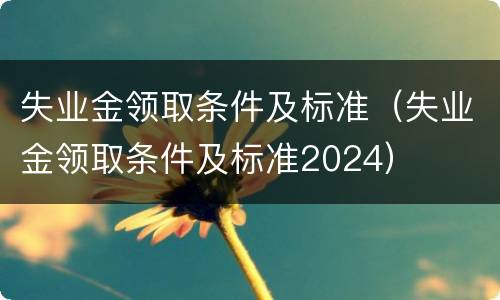 失业金领取条件及标准（失业金领取条件及标准2024）