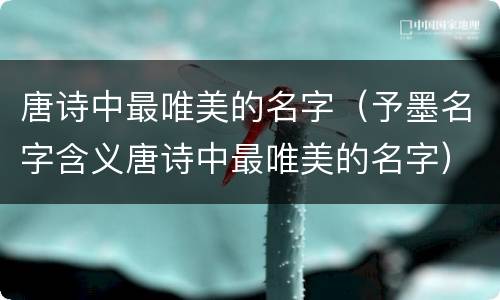 唐诗中最唯美的名字（予墨名字含义唐诗中最唯美的名字）