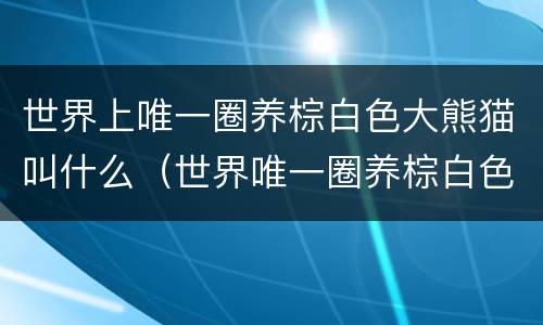 世界上唯一圈养棕白色大熊猫叫什么（世界唯一圈养棕白色大熊猫叫什么名字）