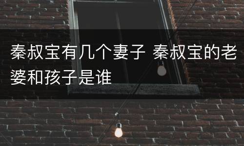 秦叔宝有几个妻子 秦叔宝的老婆和孩子是谁