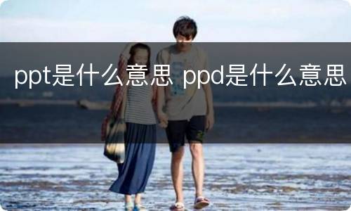 ppt是什么意思 ppd是什么意思