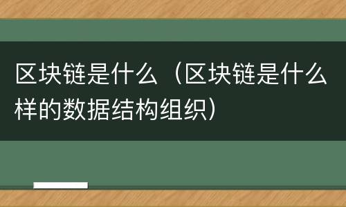 区块链是什么（区块链是什么样的数据结构组织）