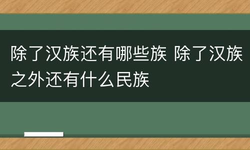 除了汉族还有哪些族 除了汉族之外还有什么民族