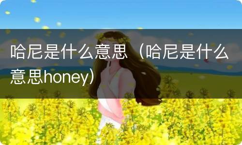 哈尼是什么意思（哈尼是什么意思honey）